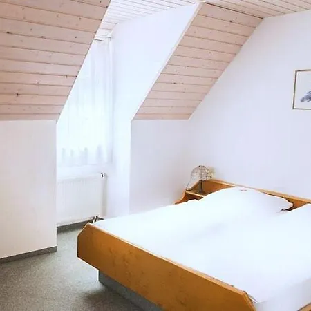 Otel Engelhof 3*