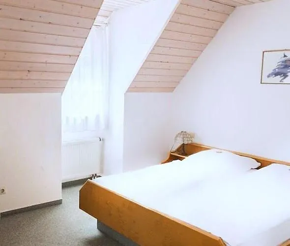 Otel Engelhof 3*